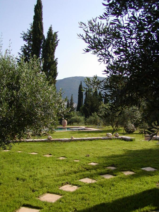 Villa Lithia Άνω Κορακιάνα Εξωτερικό φωτογραφία