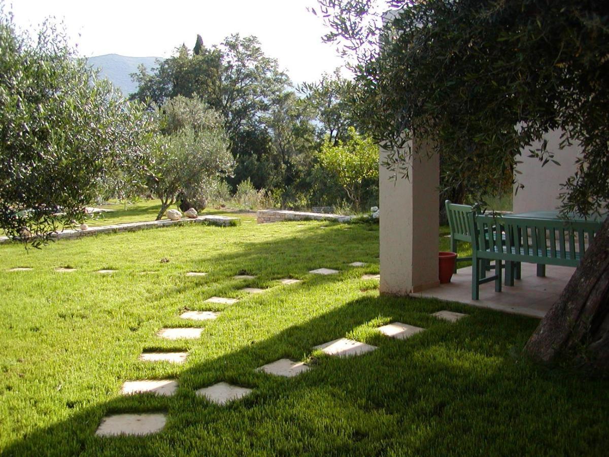 Villa Lithia Άνω Κορακιάνα Εξωτερικό φωτογραφία