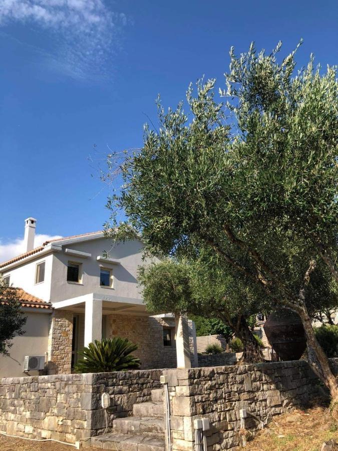 Villa Lithia Άνω Κορακιάνα Εξωτερικό φωτογραφία